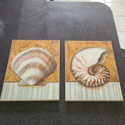 Sea Shell Nautical Wall Decor 