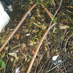 Drip Systems And Sprinklers 