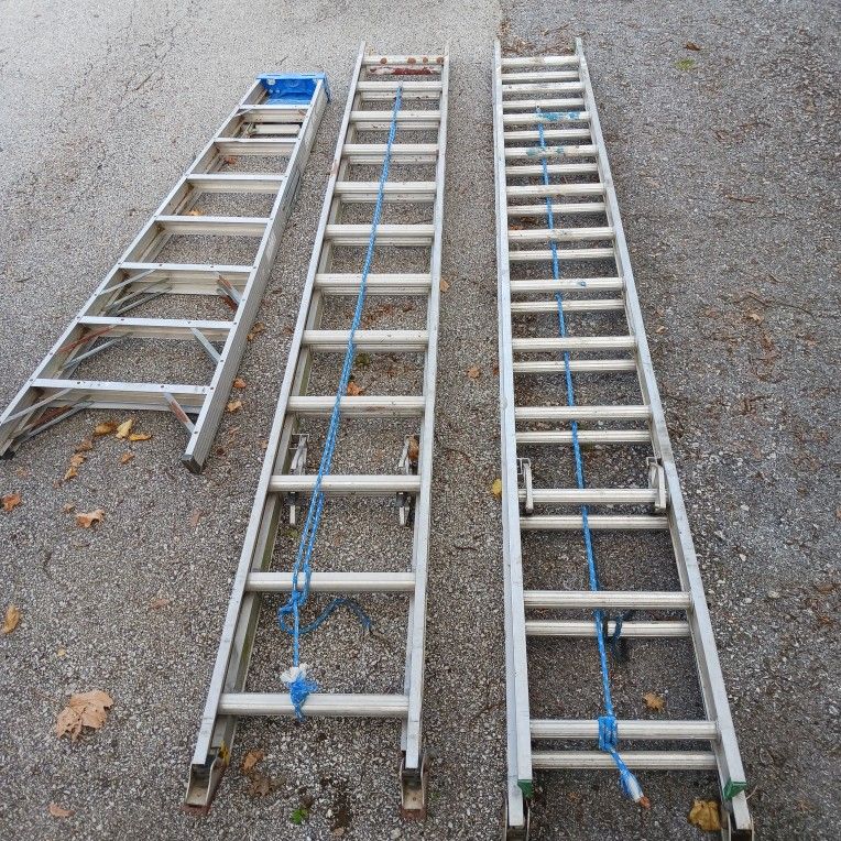 24' Extension Ladders (2) & 8' Step Ladder - Werner
