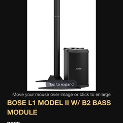 (2) Bose L1 with B2 systems