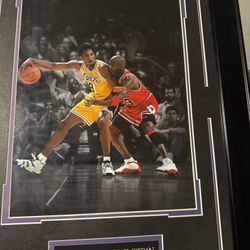 Kobe Bryant and Michael Jordan - Spotlight