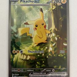 Ascended Hero’s Pikachu Pokemon Card