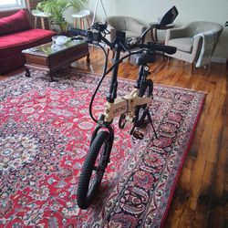 Lectric Foldable Sandstorm Bike