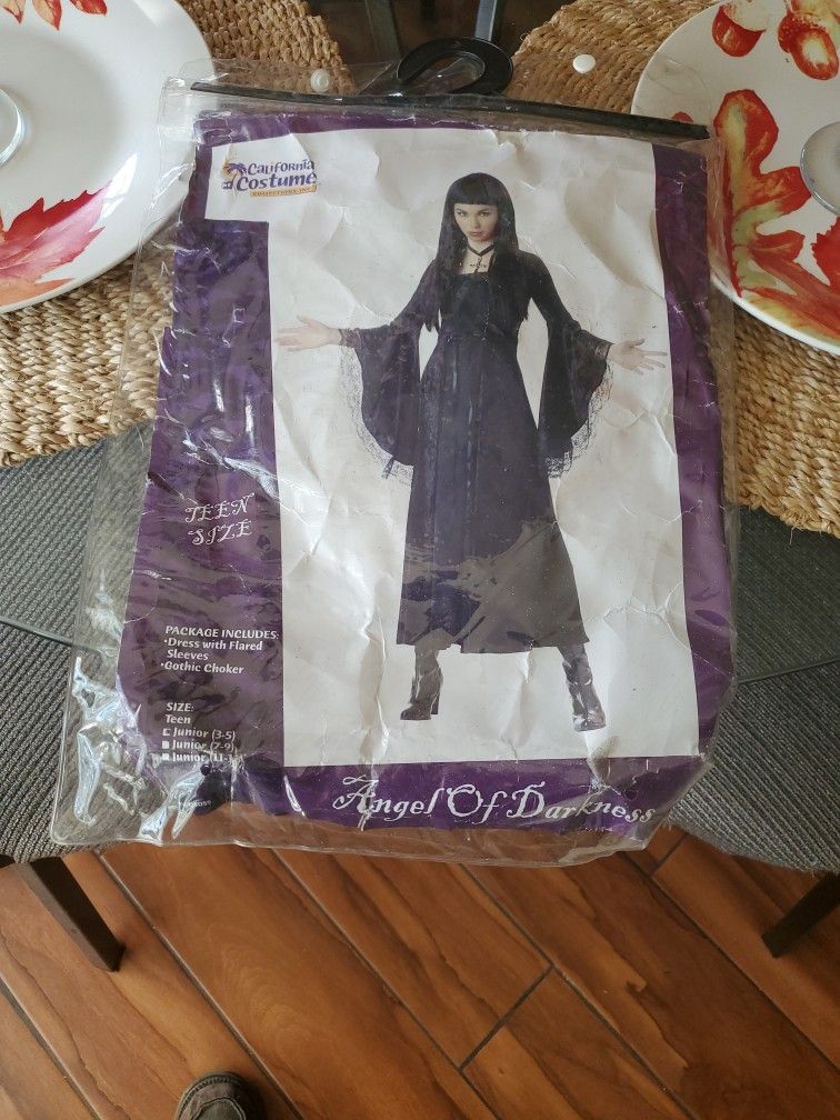 Angel Of Dark Teen Costume $5.00