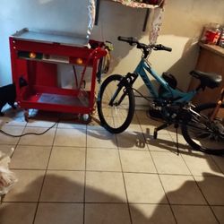 Bicicleta Y Kart De Hot Dog