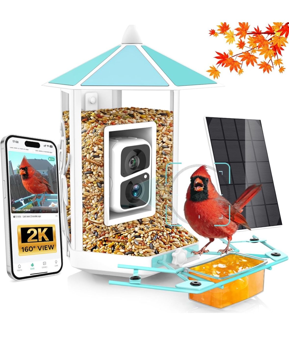 Brand new Bird Feeder with Camera