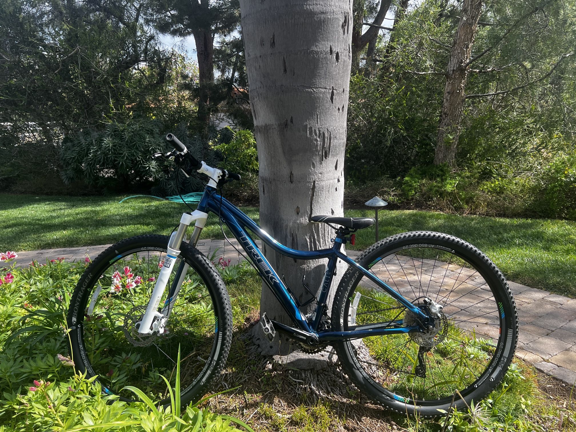 Trek cali slx 29 sale