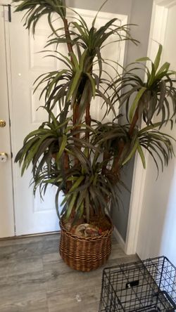 7ft fake plant