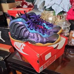 Foamposite Size 7y 