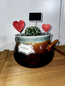 Cactus