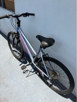 Adult bicycle