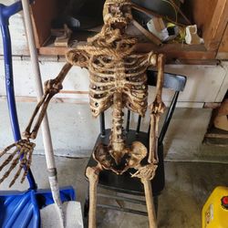 Skeleton 