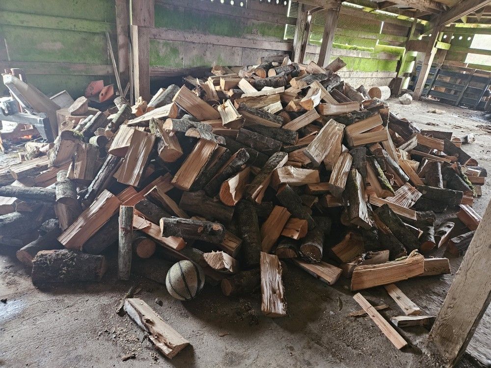 Firewood