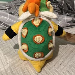 Bowser Junior Plus (Read Description )