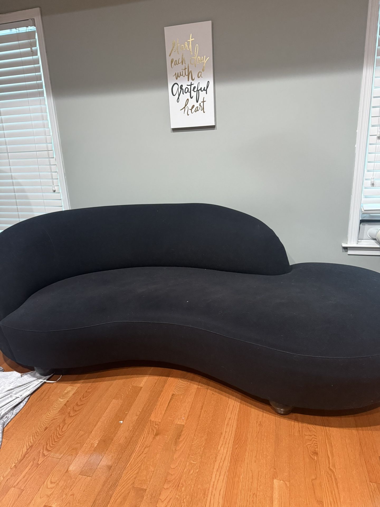 Modern Couch