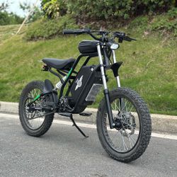 FreeGo Nova Electric Bike
