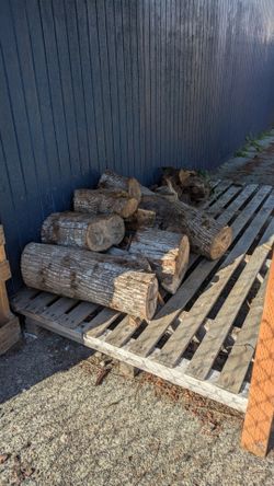 FREE Firewood