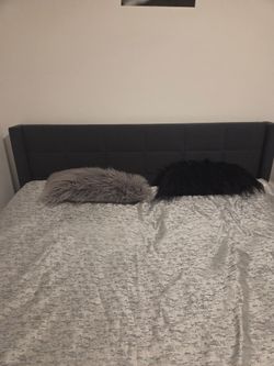 Queen Mattress and Headboard