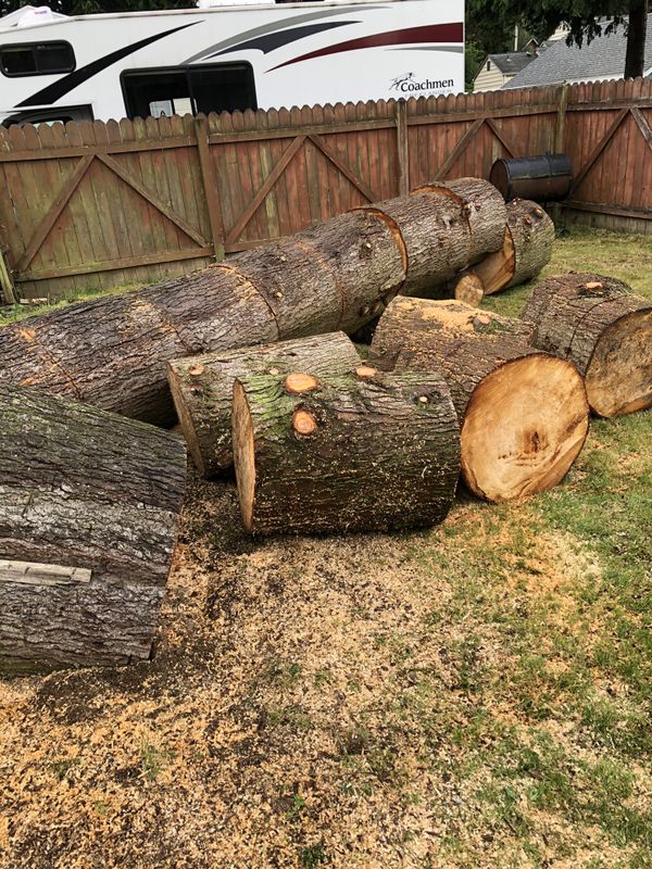 Free firewood rounds (hemlock) for Sale in Everett, WA OfferUp