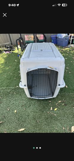 Pet