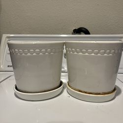 Pots For Plants 