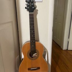 Greg Bennet Acoustic Guitar
