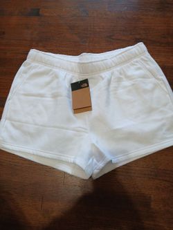 Womens Clothes Size XL NORTH FACE SHORTS