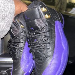 Jordan’s 12s field Purple