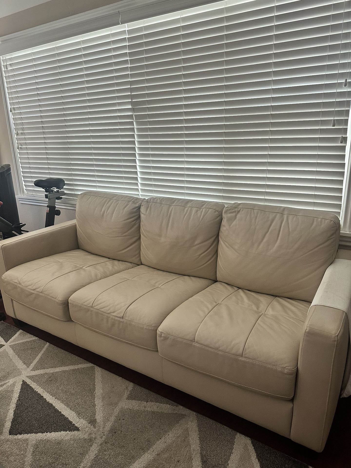 78L X 35W Leather Sofa Queen Bed