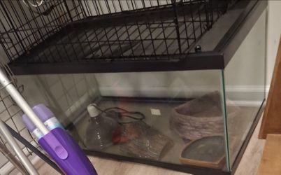 Fish tank i used it for a snake cage.  3 foot long 1  1/2 foot high