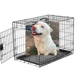 Dog Crate 