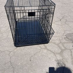 Dog Kennel 