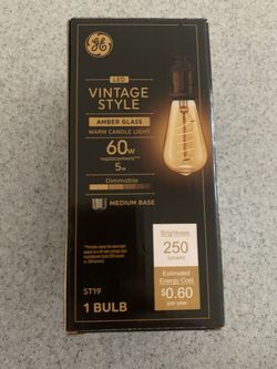 GE Vintage Style Light Bulb