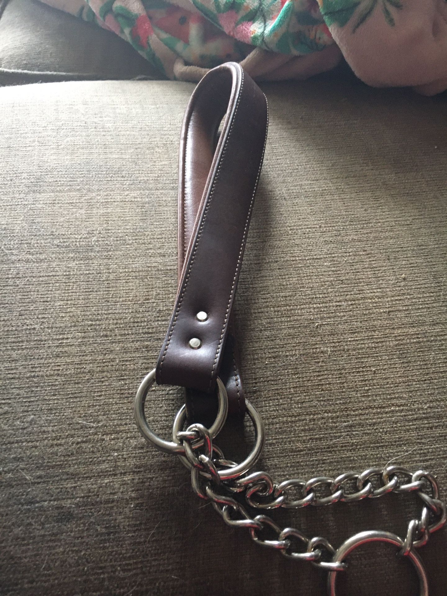 Martingale Collar~new Without Tag
