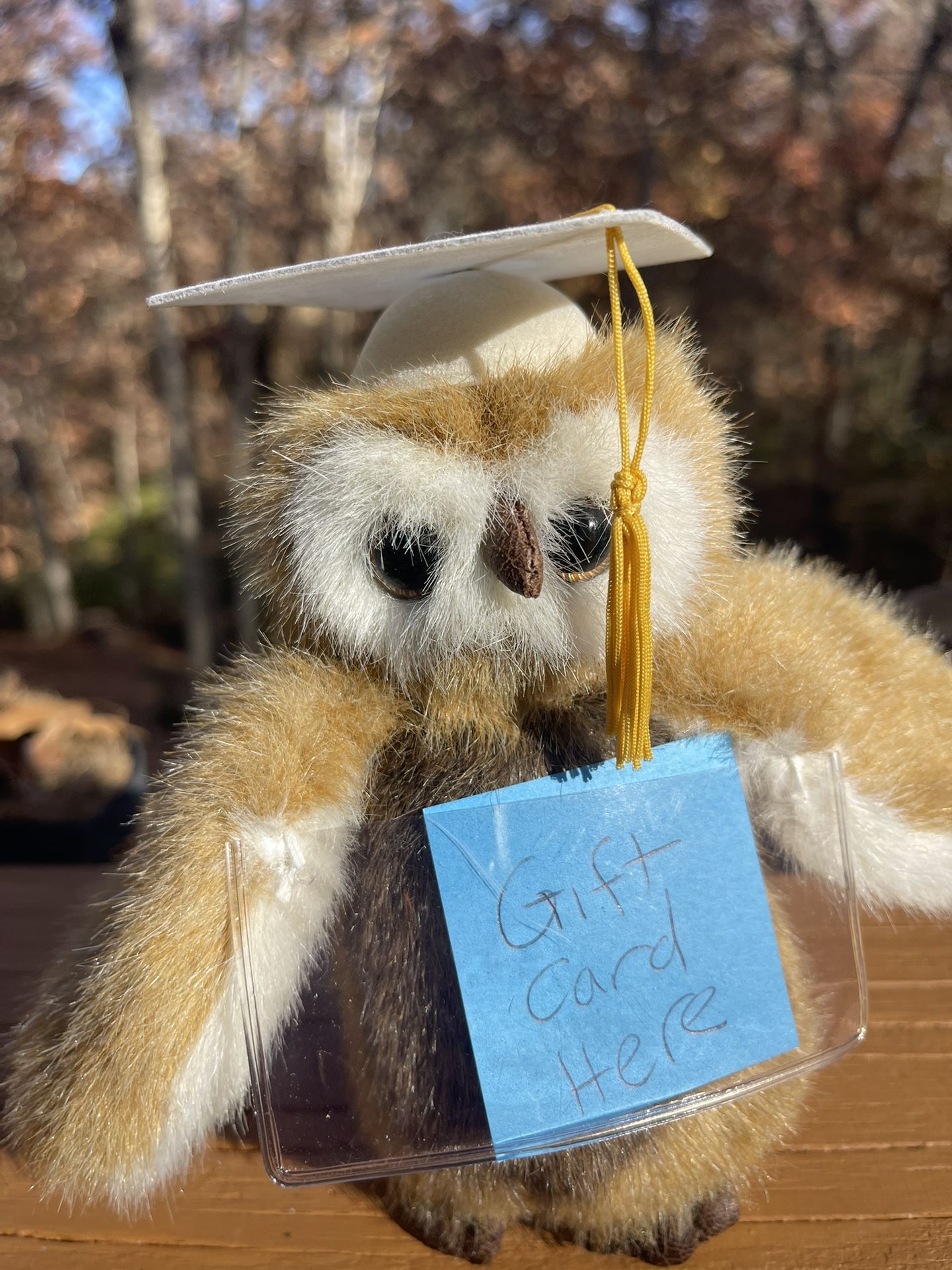 Boyd’s Bear Miss B Wise Gift Card Holder Bear