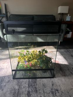 Zoo Med Reptile Terrarium 18x18x24 & artificial plants