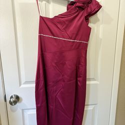 Hot Pink With Silver Sequence