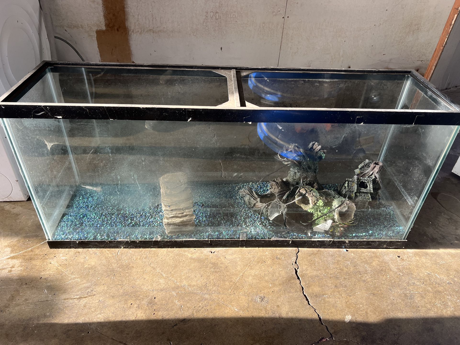 Fish Tank 