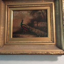 Peacock oil painting