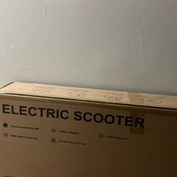 Electric Scooter 