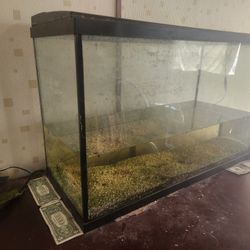 30 Gallon Tall Aquarium