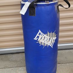 Everlast Punching Bag
