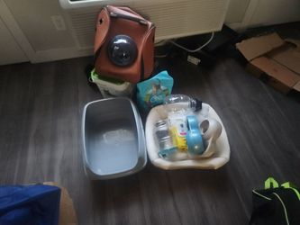 Cat Stuff