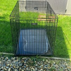 Dog Cage