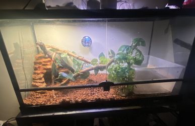 40 Gallon Enclosure 