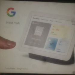 Google Nest Hub