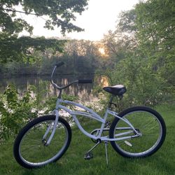 Urban Cruiser Bike