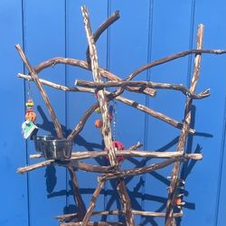 African Grey Parrot / Amazon Parrot Custom Perch Tree - Looks Great , Lasts For Years And Low Breeder Direct Pricing !! 👍🏼