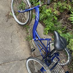 Torker Trike Bike 