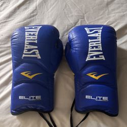 Everlast elite Lace Gloves